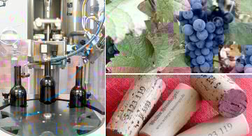 Weißweinsorten: Riesling, Weißburgunder, Chardonnay, Scheurebe, Kerner und Silvaner. Die Rotweinsorten sind Portugieser, Dornfelder, Spätburgunder, Regent und Acolon.